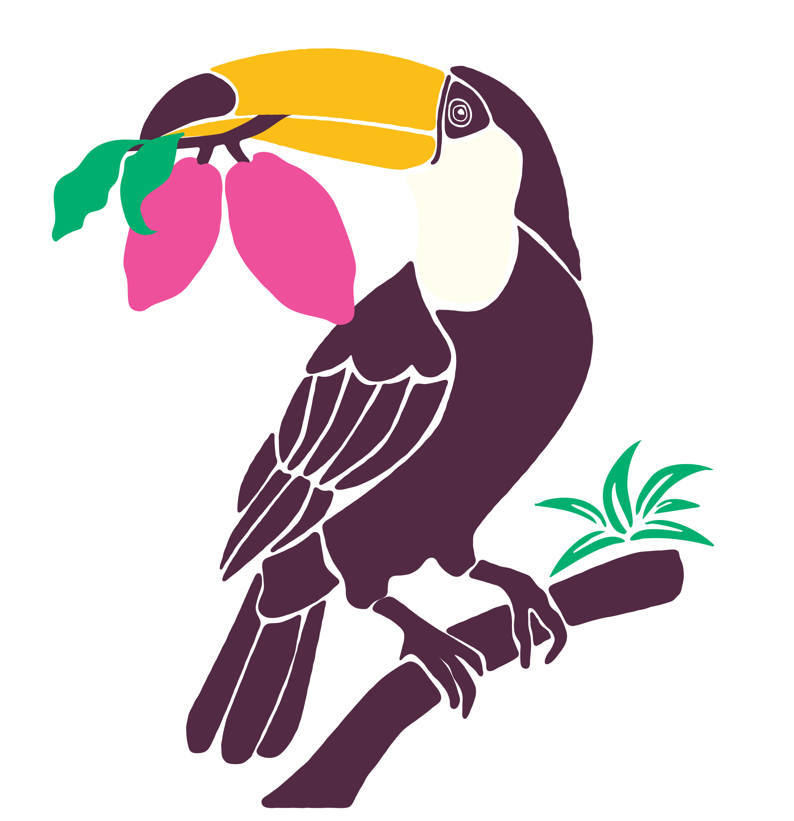 Toucan